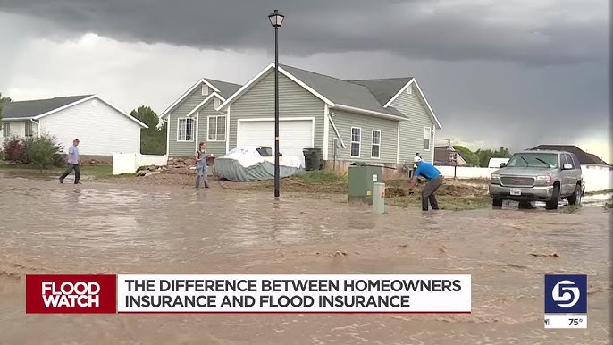 What Does Home owners Insurance Cover? A Complete and Authoritative Guide 23 Gephardt: Flood Damage Not Covered By Standard Homeowners ...