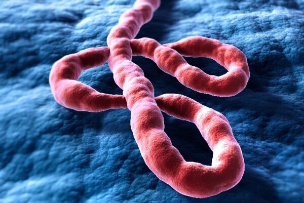 Ebola Virus and Disease