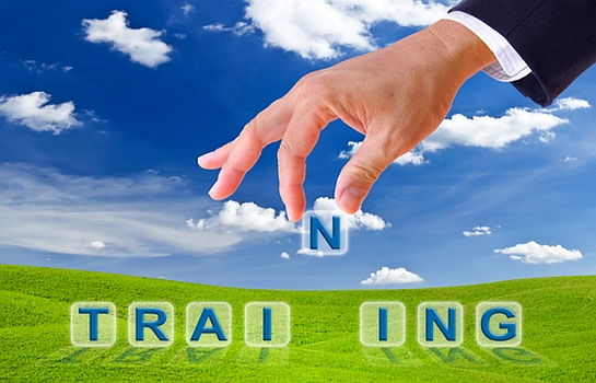 Employee Engagement: Impact of Learning and Development