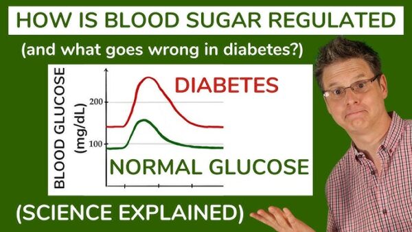 Everything You Need to Know About Diabetes